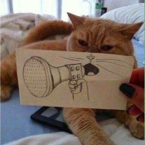 Meet your Posher, Texicali